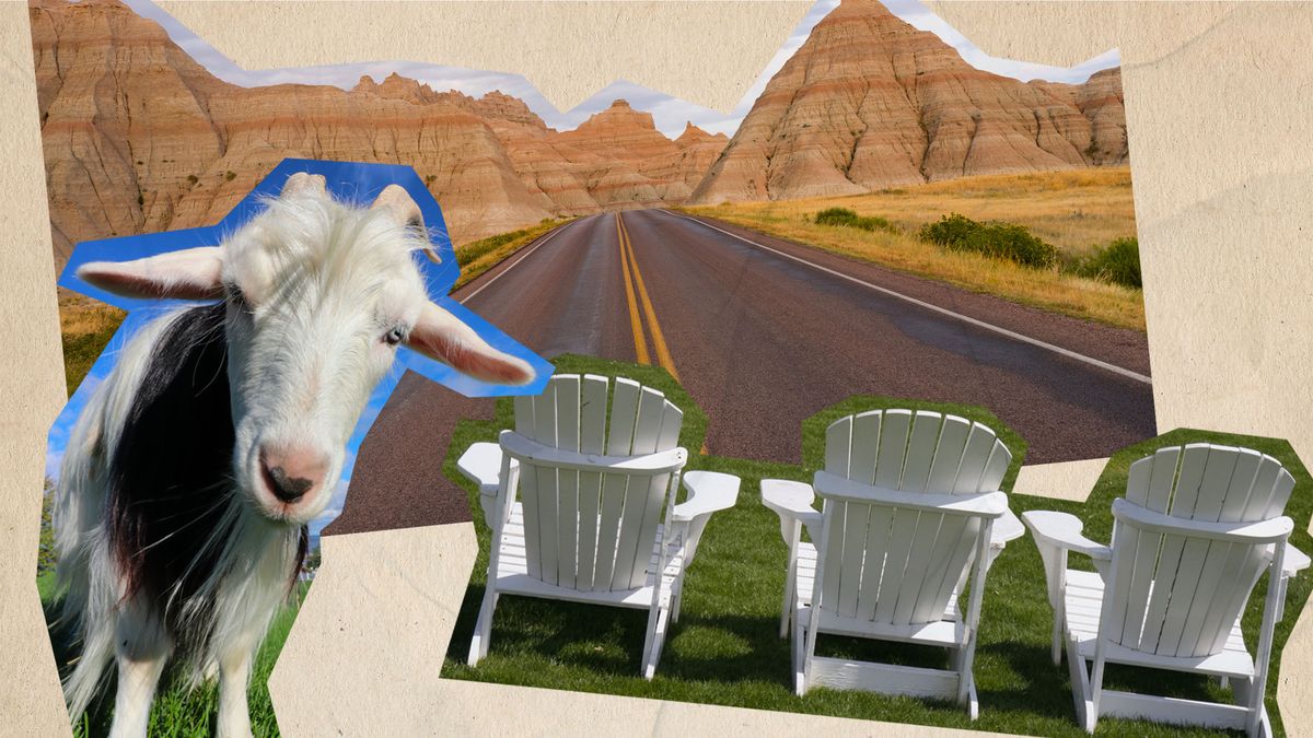 a collage of a goat, lawn chairs, and open road