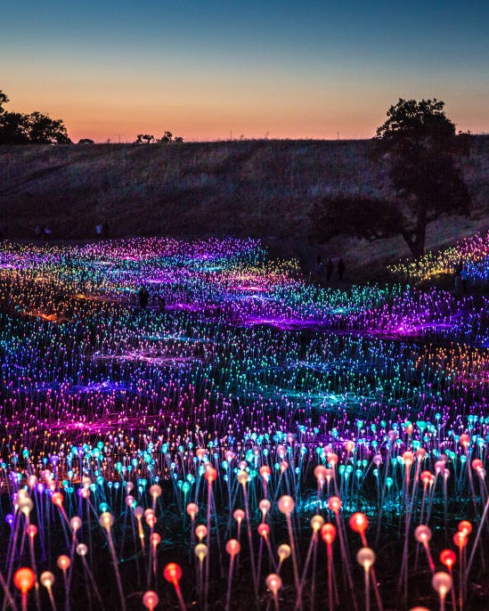 exploring the field of light at sensorio