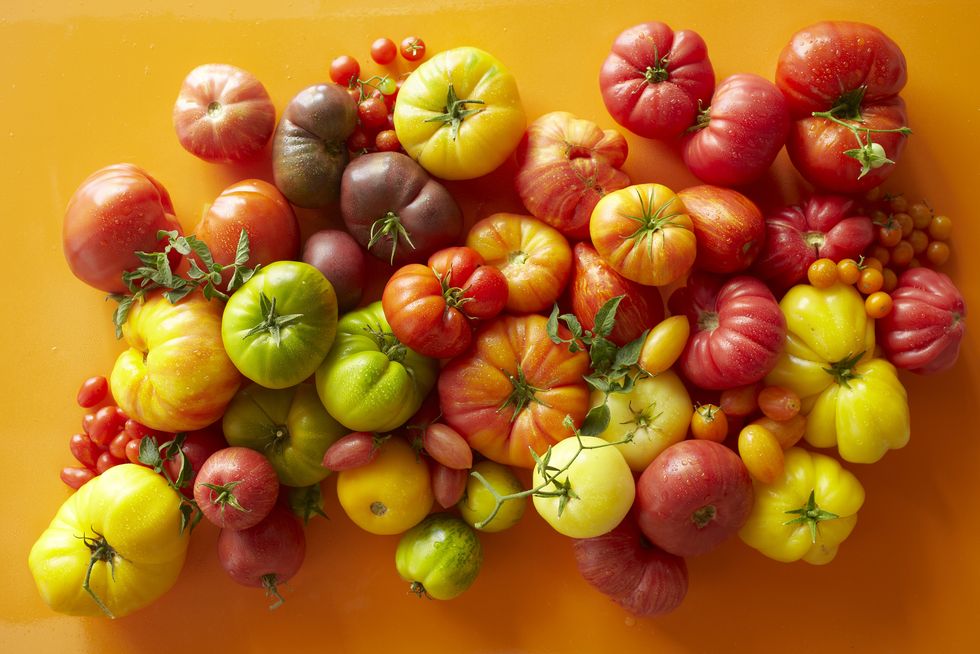 overhead of a variety of tomatoes