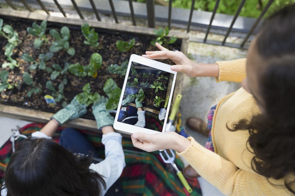Overhead view girl with digital tablet photographing mother gardening