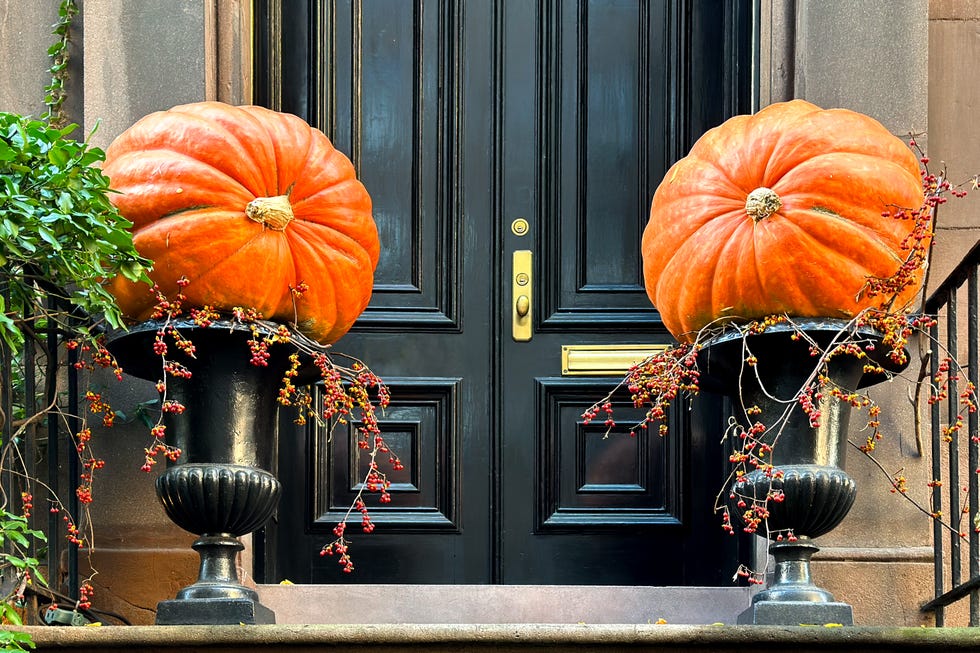 oversized pumpkins on doorstep autumn display oversized pumpkins on doorstep autumn display
