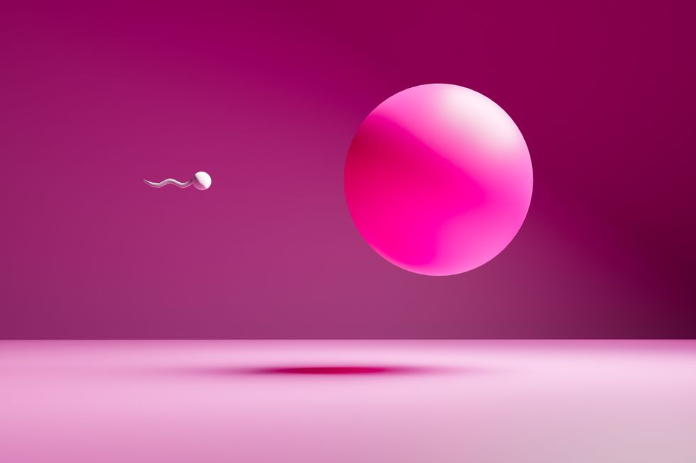 color image of sperm inseminated egg, life concept