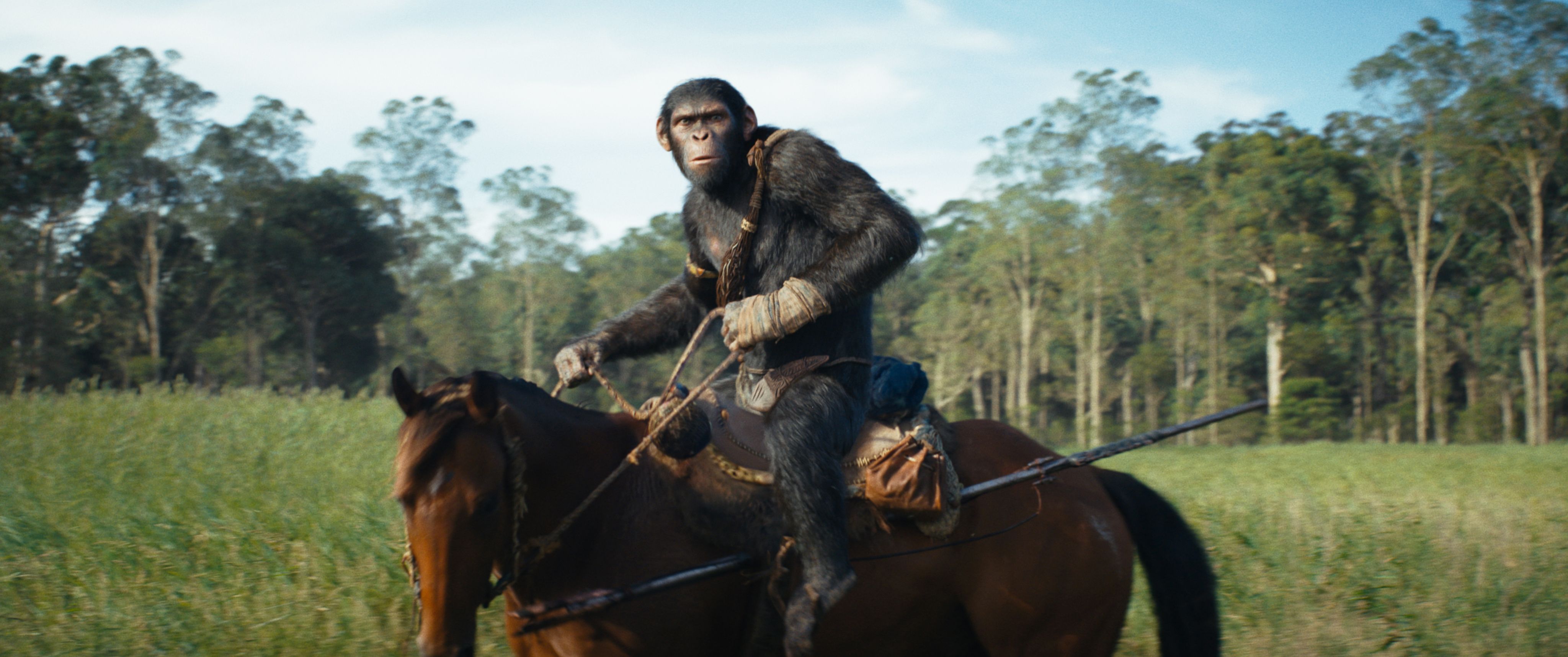Первые реакции на «Королевство планеты обезьян» появились еще до выхода фильма в кино