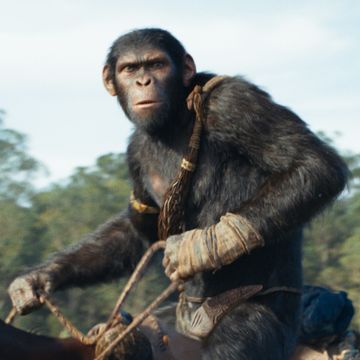 owen teague as noa, kingdom of the planet of the apes
