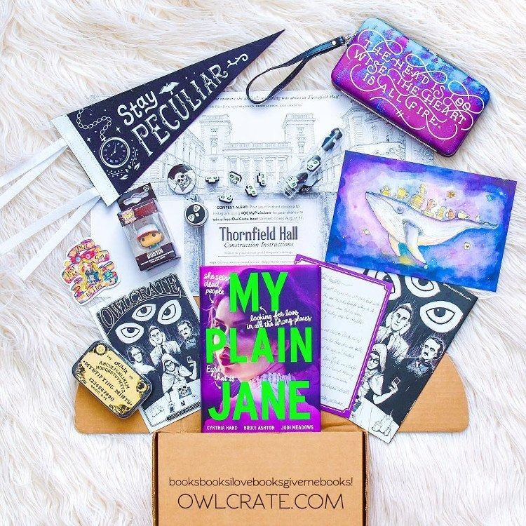 owl crate box on white rug with my plain jane book surrounded by gifts and goodies