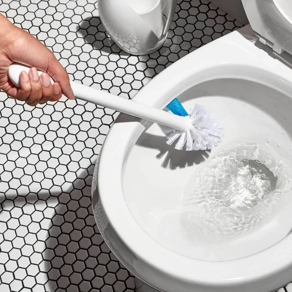 OXO Good Grips Toilet Brush: Honest Review