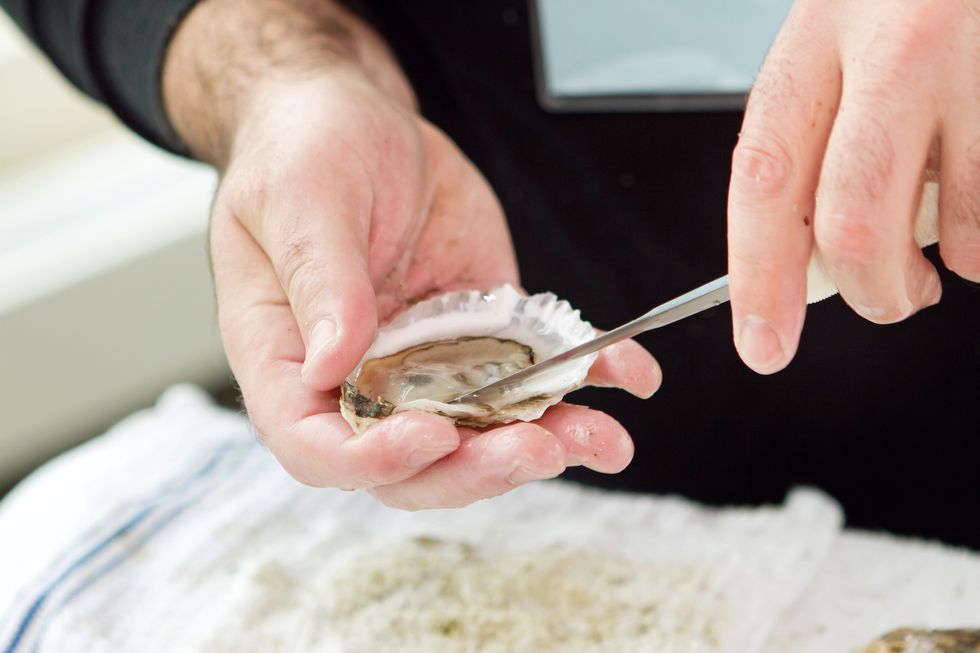 oyster shucking