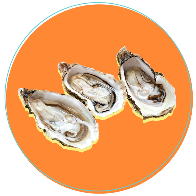 oyster
