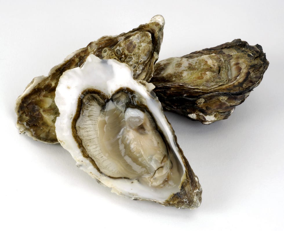 Collagen-Rich Foods