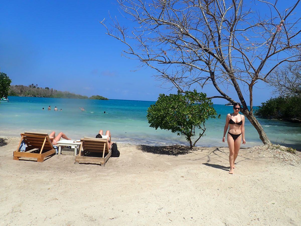 Beach, Vacation, Sun tanning, Summer, Tree, Tourism, Sea, Water, Tropics, Fun, 