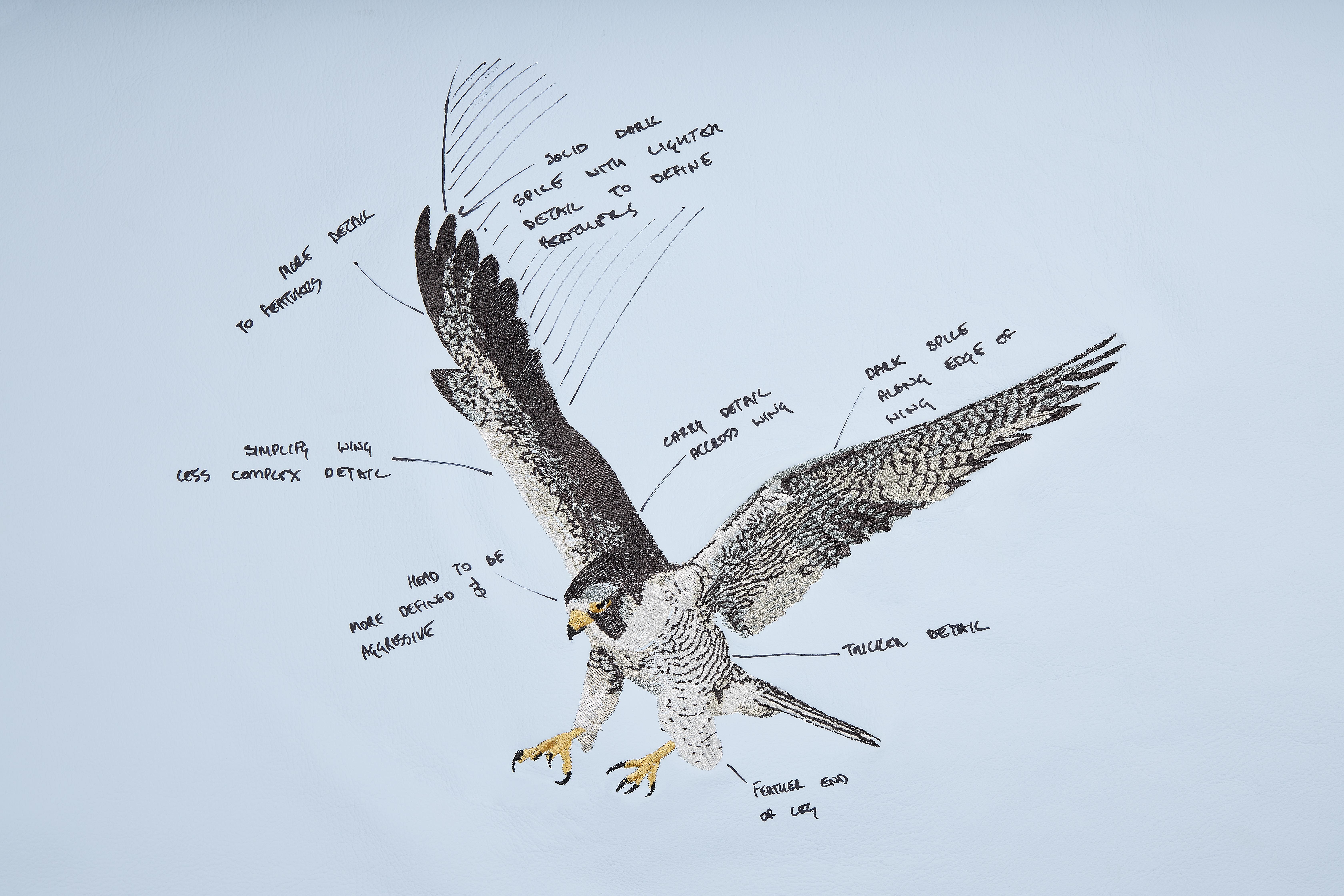 falcon flying drawing