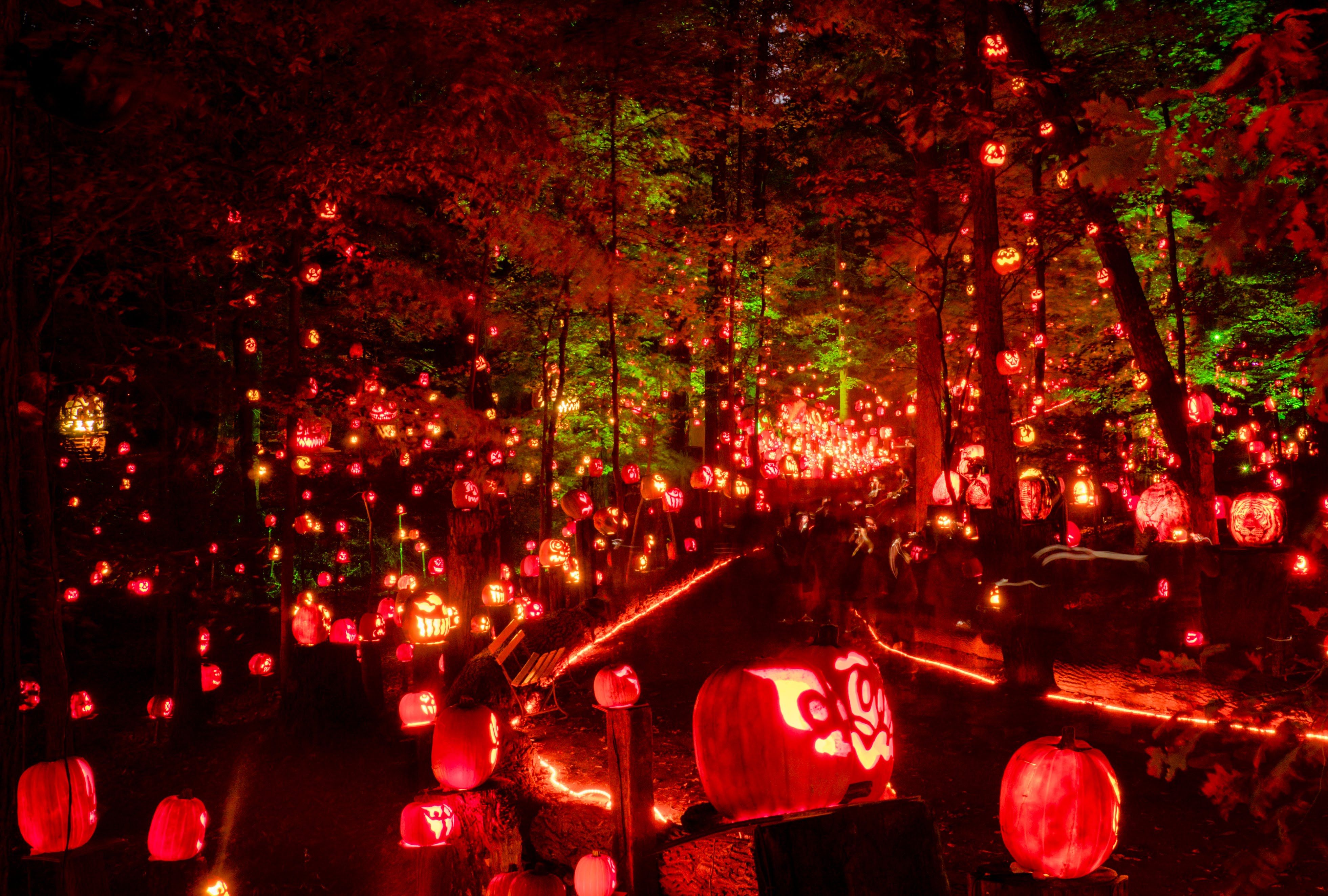 New England has 4 of the best Halloween festivals and events in the U.S.