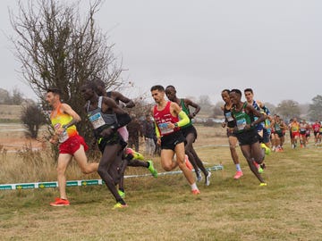 cross de soria