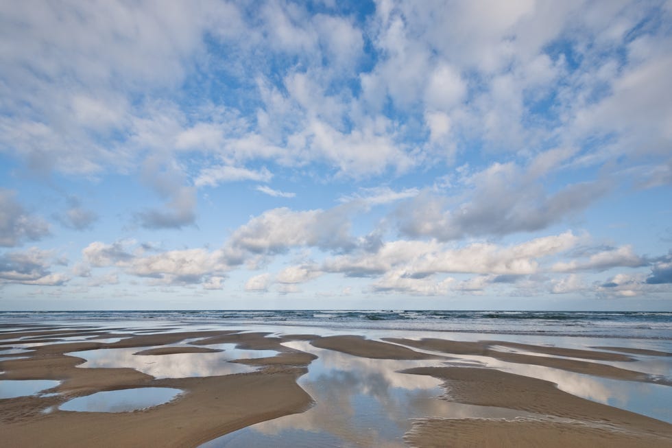 pacific ocean beach at low tide