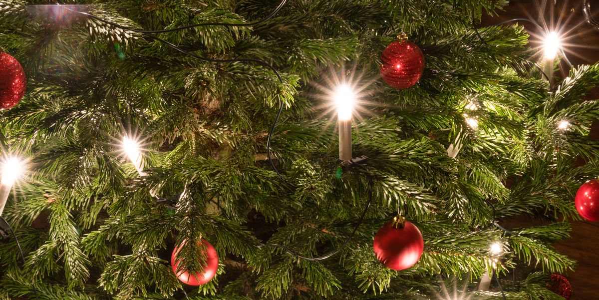 When should you take your Christmas tree down and can wrapping paper and  old lights be recycled? - ABC News