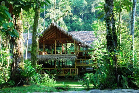 Luxury Treehouses - Resorts And Hotels In Forests - Nature Vacations