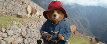 paddington bear in a blue coat and red hat stands outdoors with mountainous terrain in the background