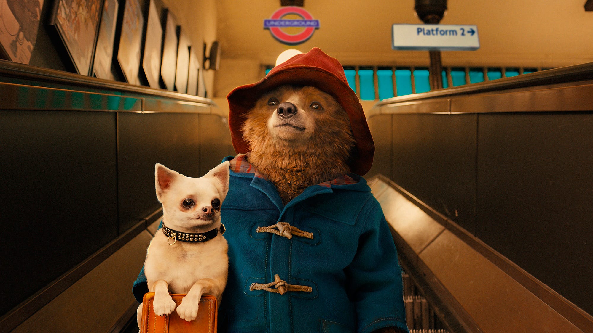 paddington pelicula