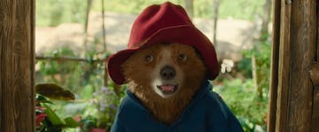 paddington bear, paddington in peru trailer