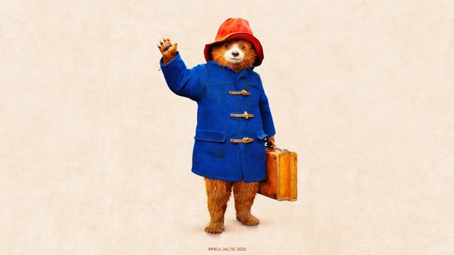 the paddington bear experience