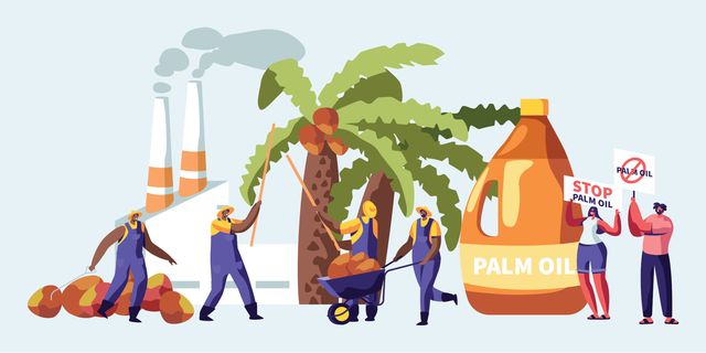 Should We Avoid Palm Oil?
