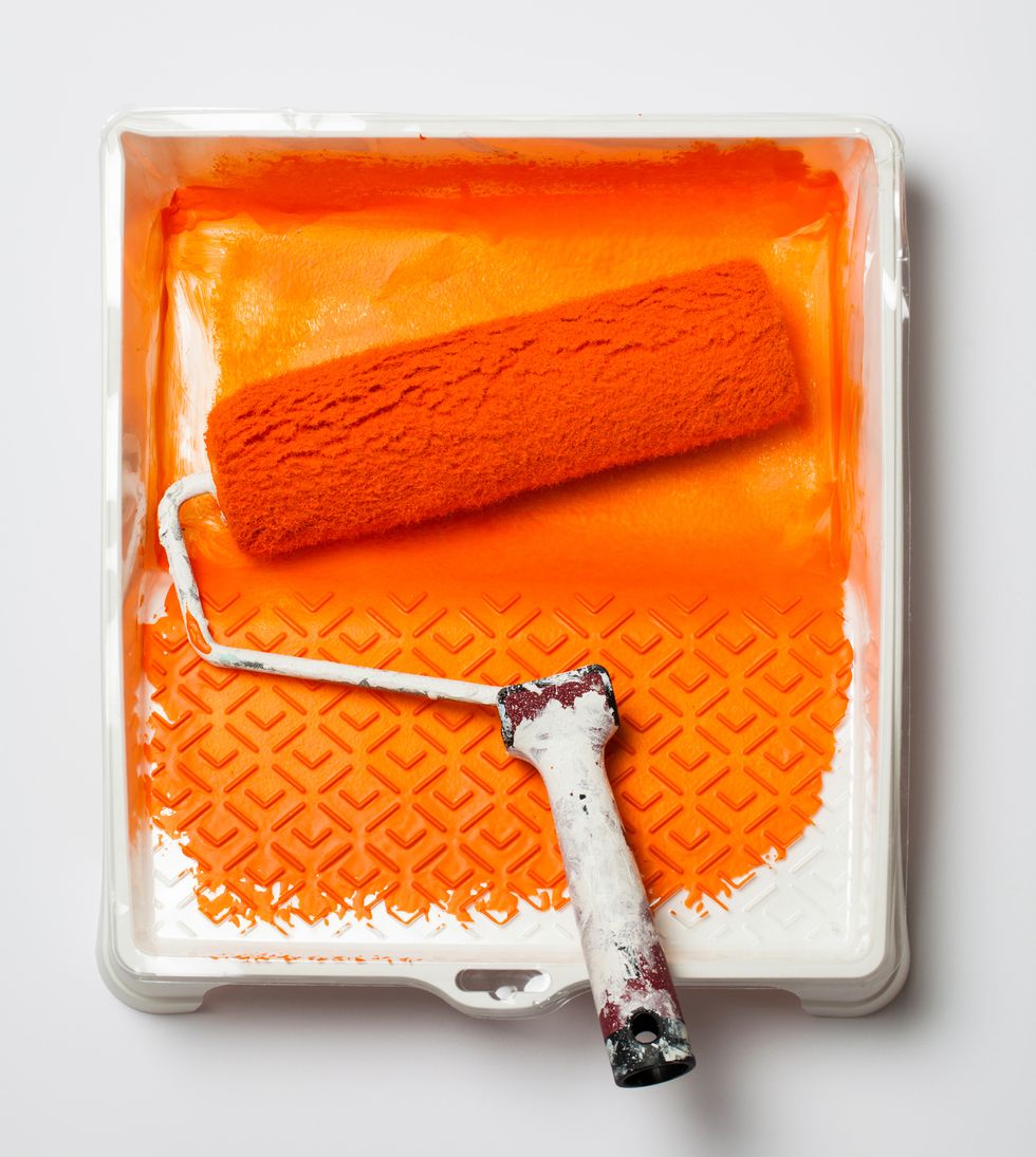 Paint Roller In Paint Tray