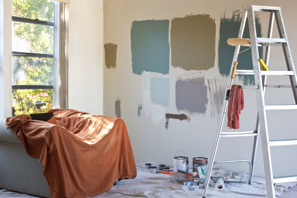 paint samples