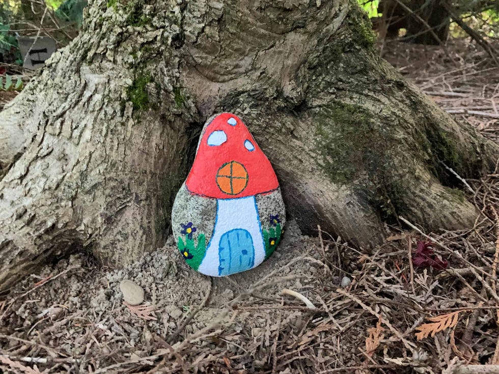 painted rock craft