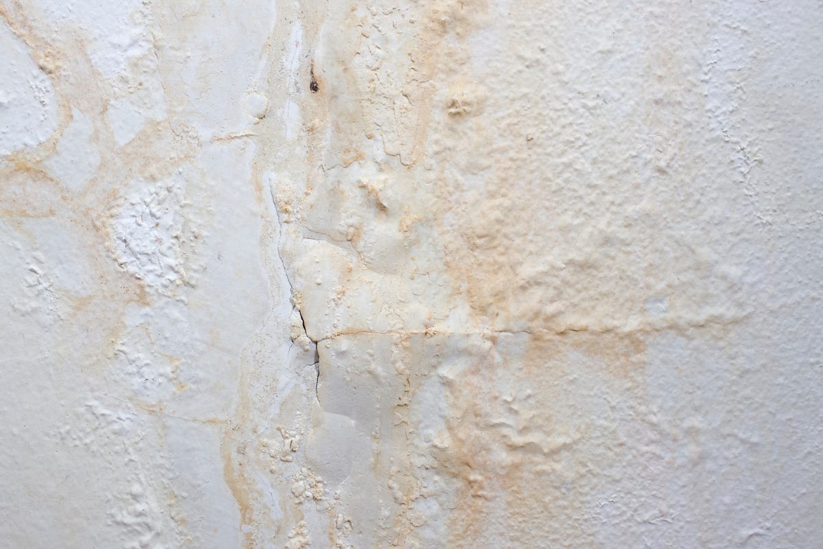 How to Fix and Prevent Bubbling Paint Like a Pro