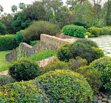 jardín con arbustos
