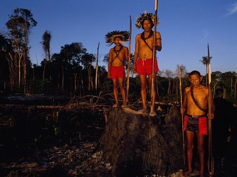 De inheemse Suruiindianen ook wel Paiterindianen genoemd zijn een groot deel van hun grondgebied in het bos kwijtgeraakt omdat er ruimte moest worden gemaakt Uit recent onderzoek blijkt echter dat reservaten voor Indianen aanzienlijke bescherming bieden voor het Amazonewoud Inheemse groepen vormen minder dan 1 700000 burgers van de Braziliaanse bevolking Ze leven vooral in het Amazonegebied