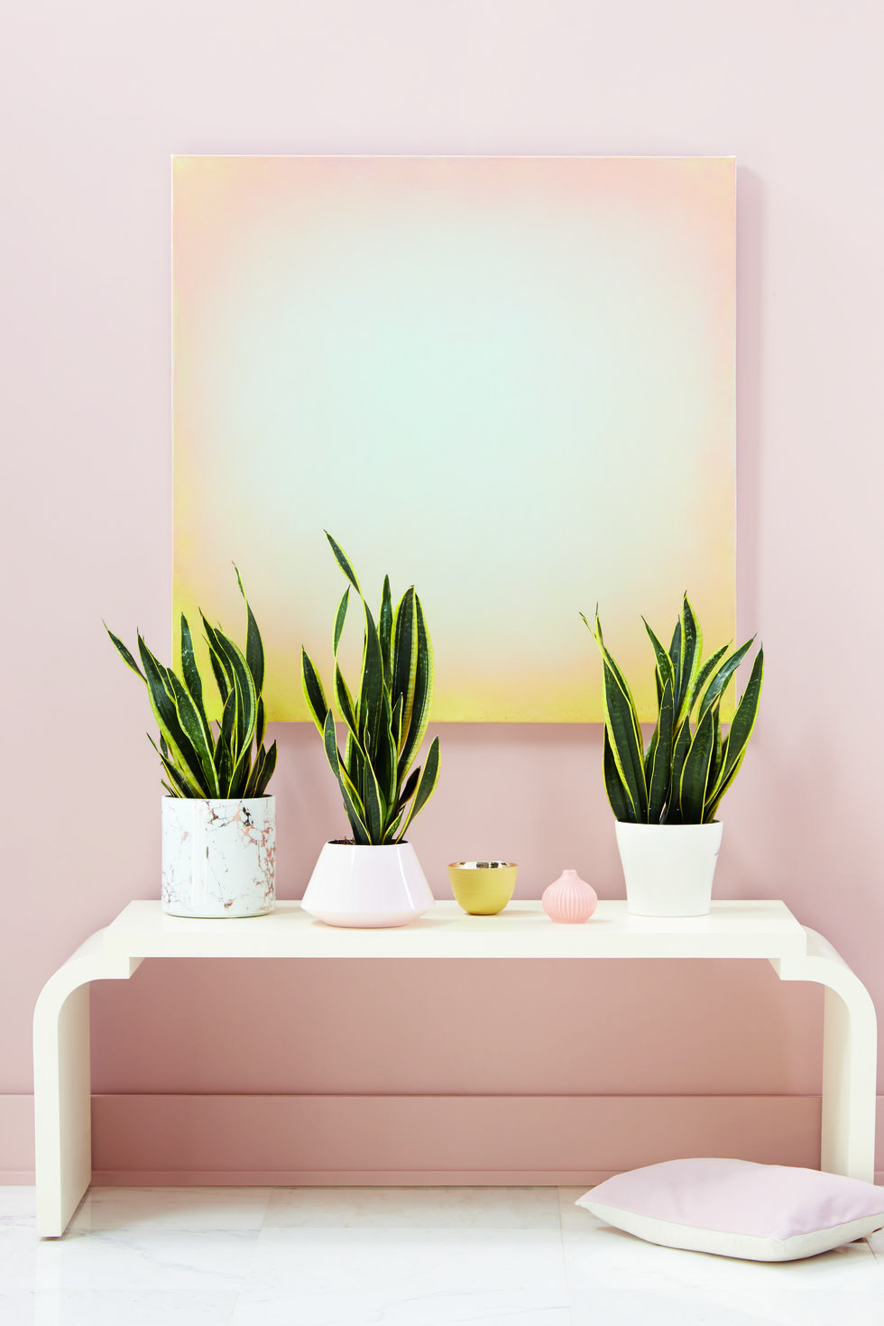 Flowerpot, Room, Houseplant, Wall, Botany, Furniture, Plant, Grass family, Table, Grass, 