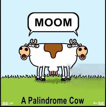 palindrome cow