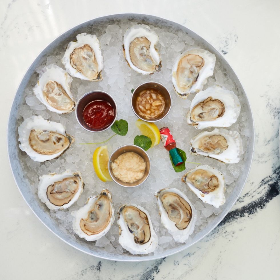 a plate of raw oysters