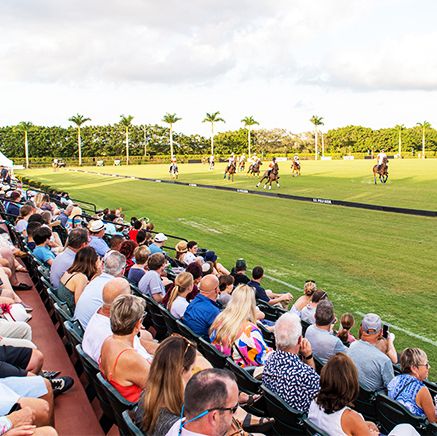 a crowd of people watching a polo match