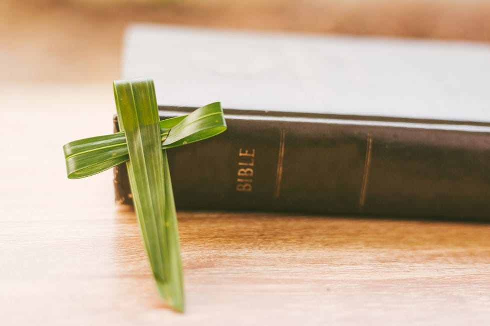 green palm frond cross leaning on bible