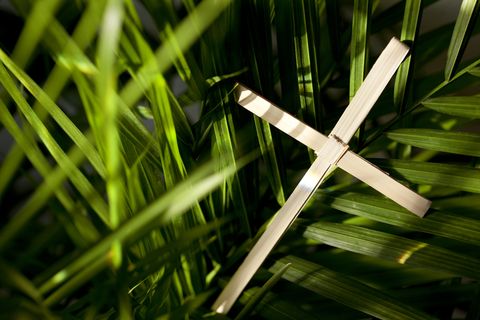 Palm Cross and Leaves