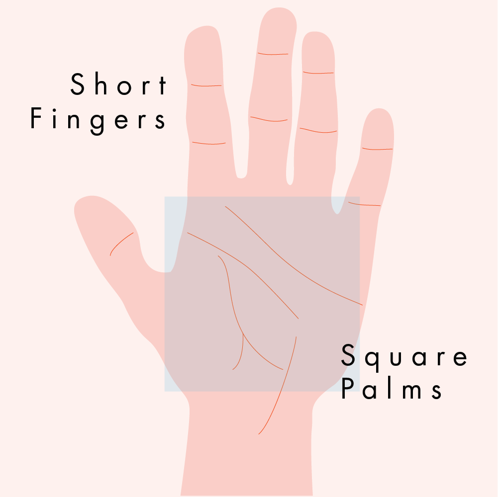 palm hand reading