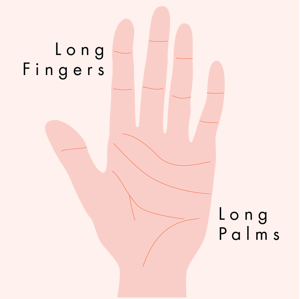 How to Read Palms for Beginners