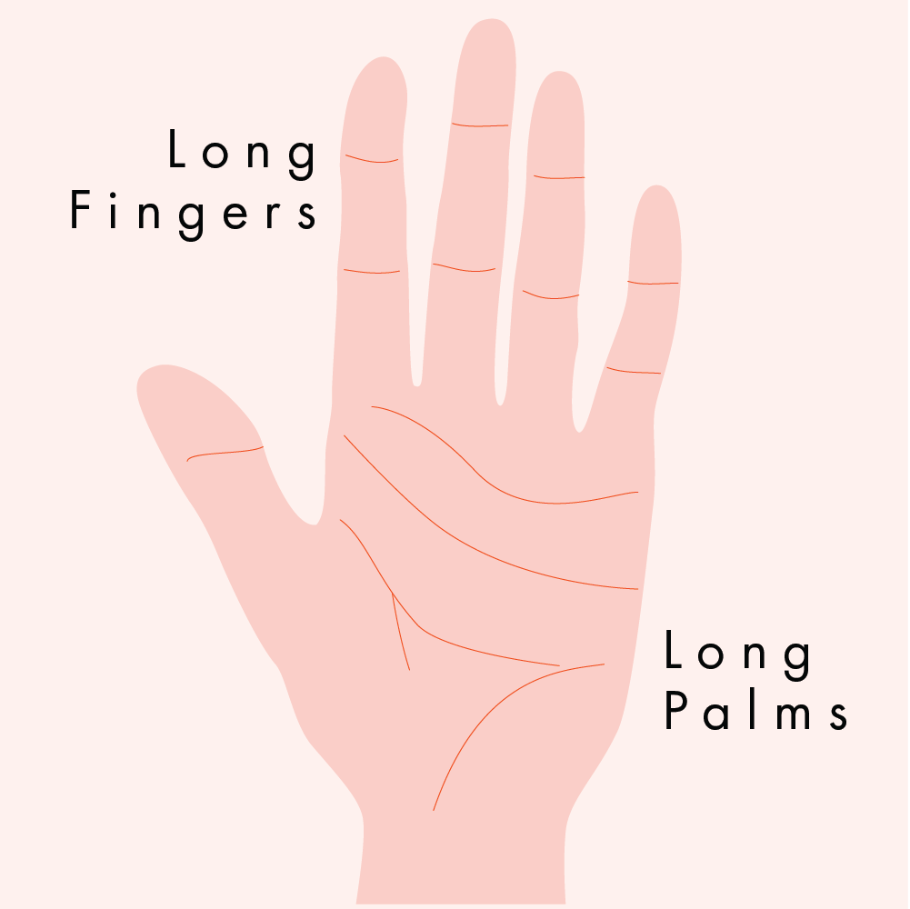 Palm Reading for Beginners: How to Read Palm Lines