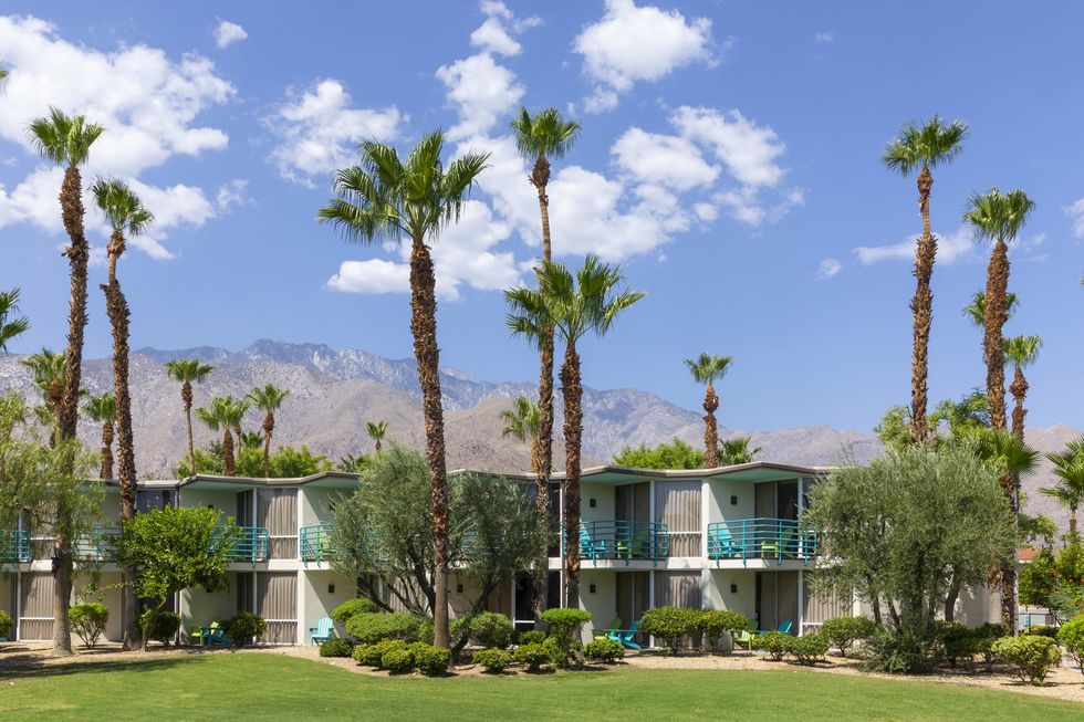 Palm Springs Hotels 6 C Julie Soefer 6404e450c84c1 ?crop=0.9712578717907314xw 1xh;center,top&resize=980 *
