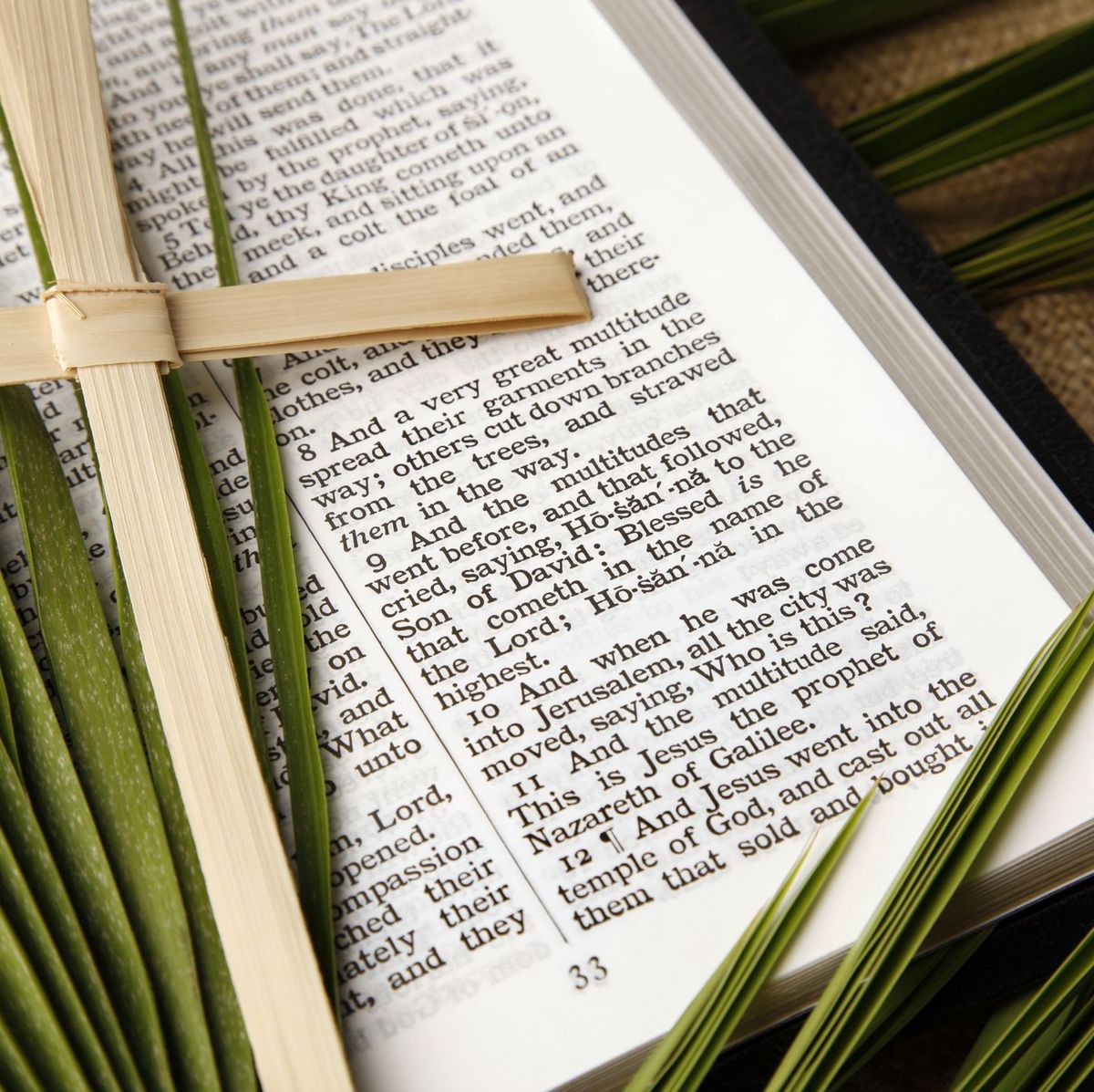 30 Palm Sunday Scriptures 2023 - Bible Verses About Palm Sunday