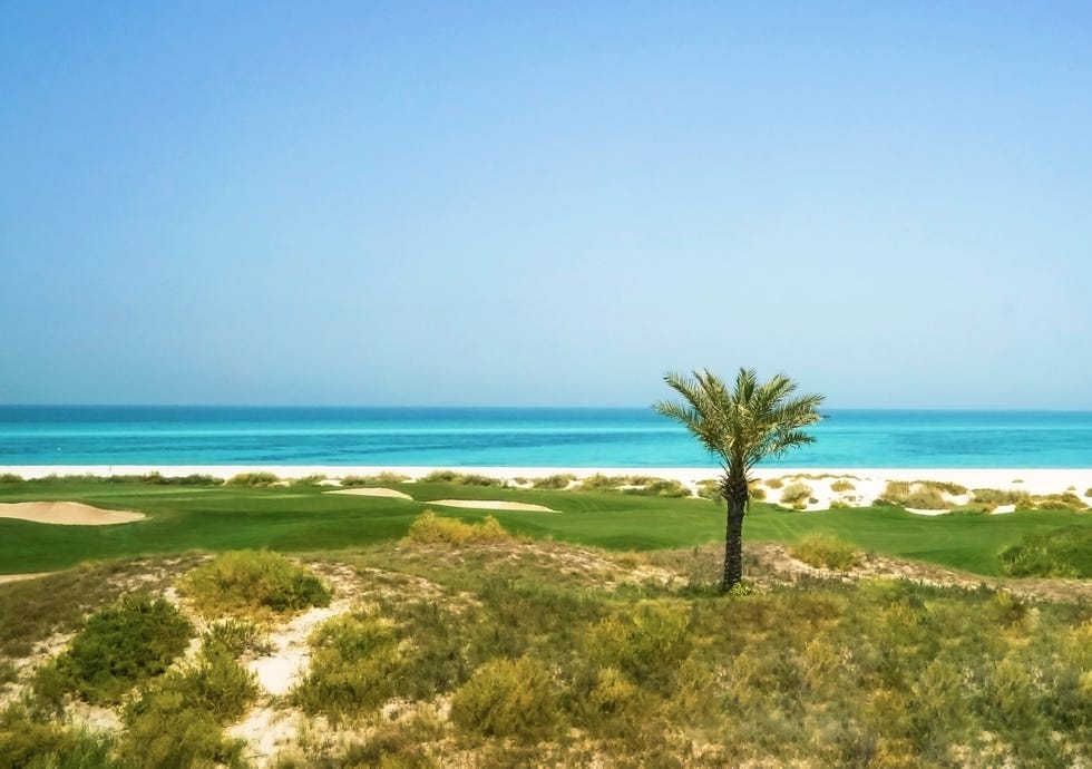 Christmas holidays in the sun - Abu Dhabi.