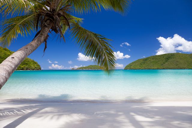 St John US Virgin Islands Travel Guide — Best St John USVI Rentals ...