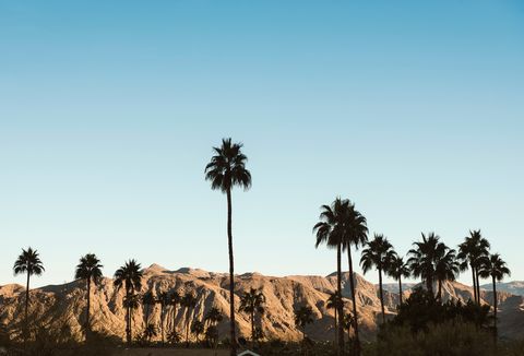 family vacation ideas — palm springs