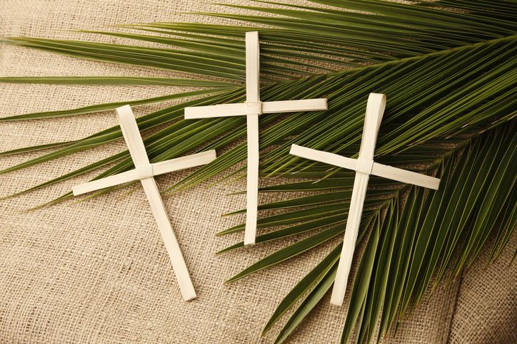 Palm Sunday Crosses and Branches