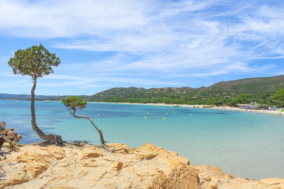 palombaggia beach corsica, france.