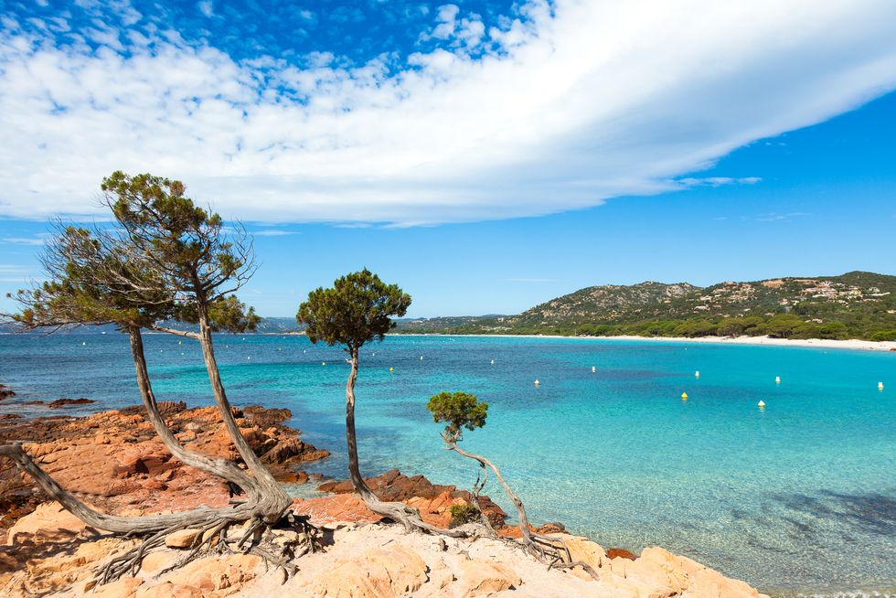Palombaggia beach Corsica Island France
