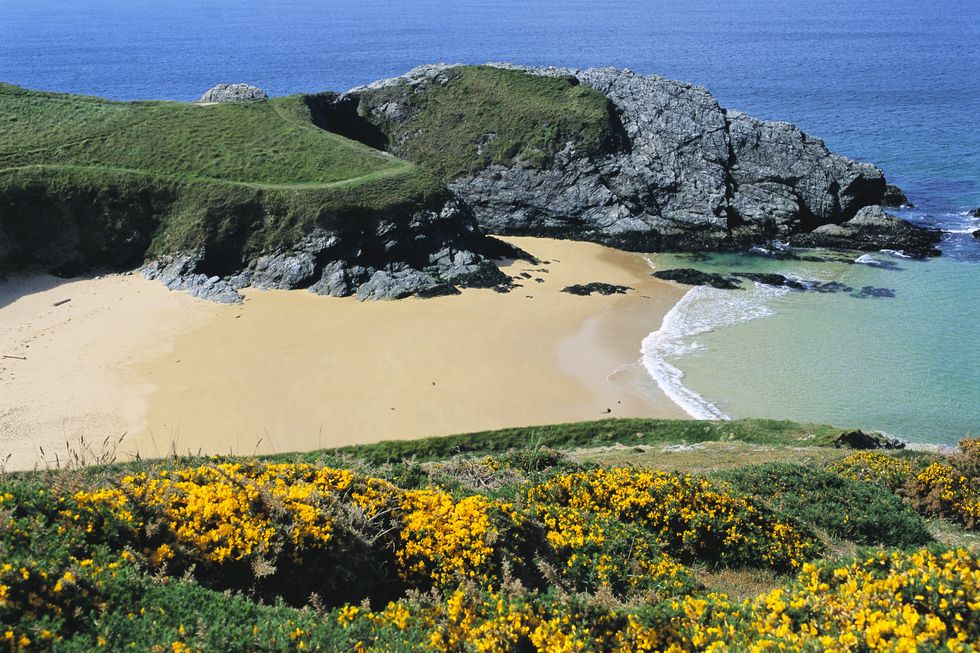 paluden beach on belle ile
