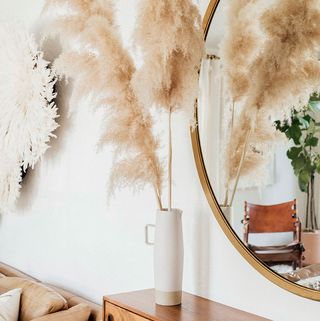 what is pampas grass